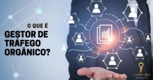 Gestor de tráfego orgânico SEO